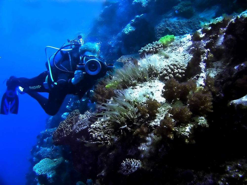 plongee sous marine, Guadeloupe, ARCHIPEL PLONGÉE SARL