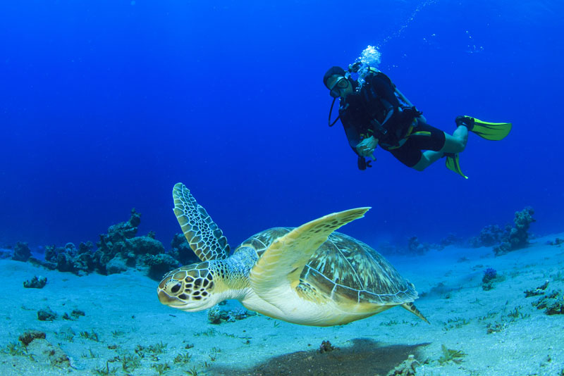 Comment gérer le mal de mer lors d'une première plongée sous-marine en Guadeloupe