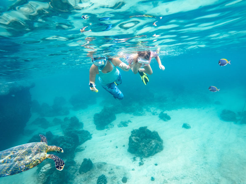 Quel est l'âge minimal requis pour un baptême plongée en Guadeloupe